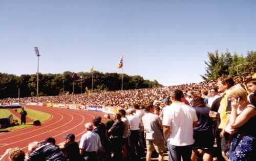 Stadion Neufeld - Stehpltze