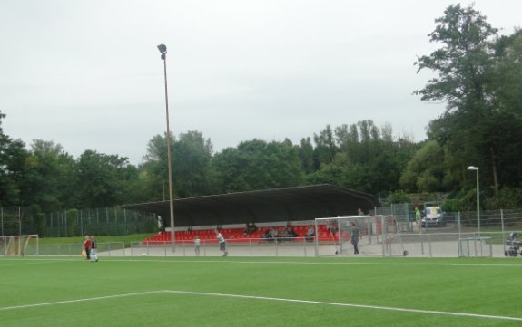 Sportplatz an der Festhalle Kunstrasen