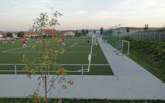 Sportplatz an der Winzenheimer Str.