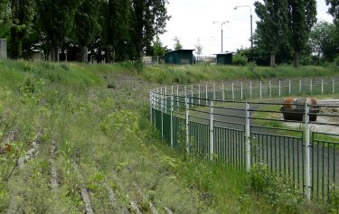 Městský Stadion Chomutov