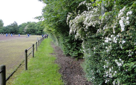 Sportplatz Büttnerstraße