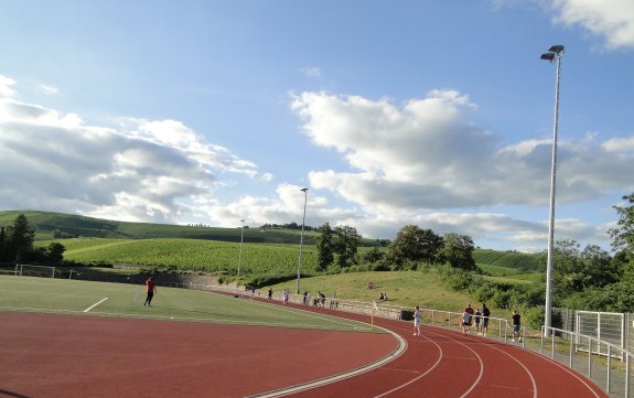 Stadion am Wiesweg.