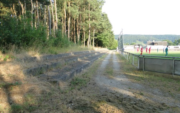 Stadion am Haarwasen