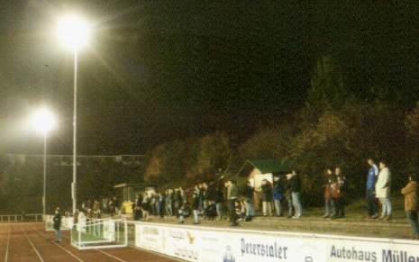 Wasgau-Stadion - Stufen