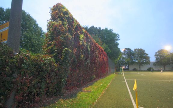 Stadion an der Feuerwache