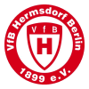 VfB Hermsdorf