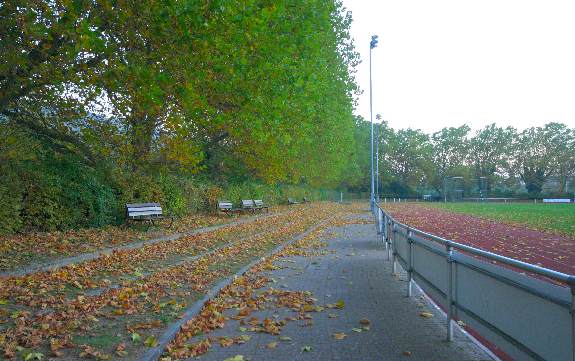 Otto-Hoog-Stadion