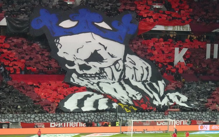 BayArena