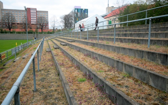 Hans-Zoschke-Stadion