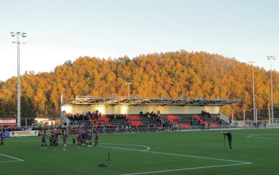 Stade de Rue de la Tonne