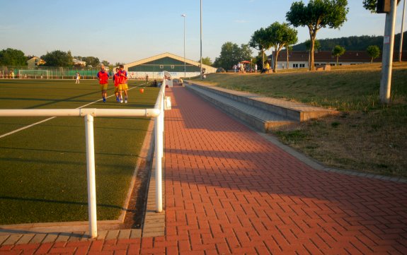 Leopold-Lucas-Straße Kunstrasen 1