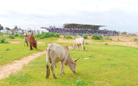 Stade Caroline Faye