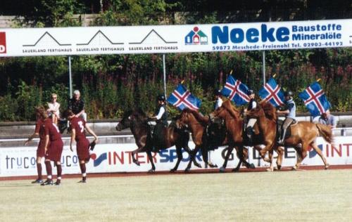 Dünnefeld-Stadion - Áfram Ísland!