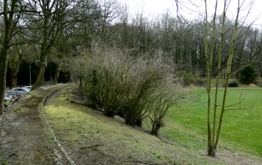 Radrennbahn am Volksgarten