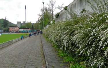 Stadion Holzhof