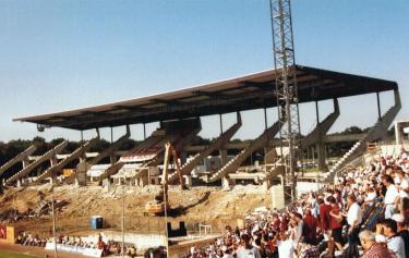 Waldstadion - skelettierte Haupttrirbn