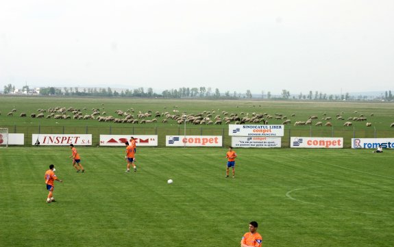 Stadion Conpet <i>Strejnic</i>